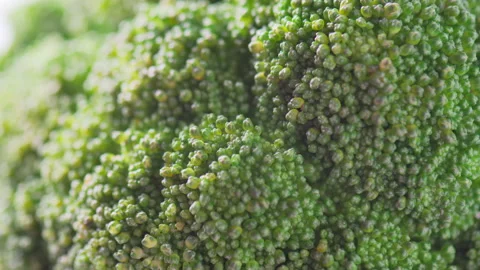 Macro footage of fresh broccoli. Close-up view of green cabbage Stock Footage 315197417