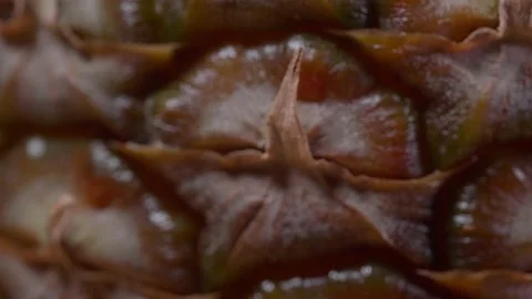 Macro footage of an pineapple peel Stockbeeldmateriaal 163299758