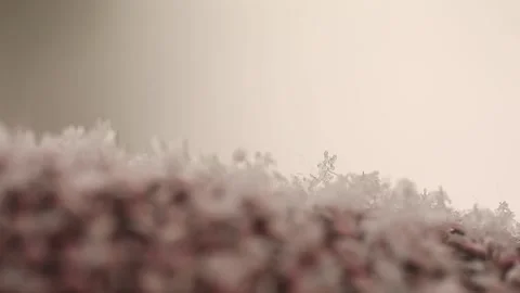 Macro footage of snowflakes Stock Footage 234140854