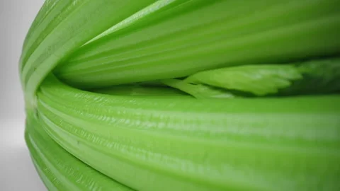 Macro fresh green celery stalks white studio background. Slider dolly laowa 24mm Video stock 233527433