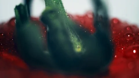 Macro. fresh tomato red rotates Stock Footage 103429349