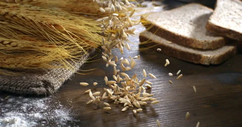 Macro of fresh wheat grain seeds falling on golden ears and burlap sack Stock Footage 268806664