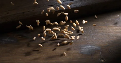 Macro of fresh wheat grain seeds are falling for quality control on wooden table Stock Footage 268807557