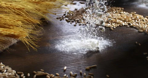Macro of fresh wheat grain seeds falling on golden ears and burlap sack Stock Footage 268809301