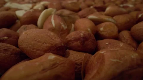 Macro fried peanut Stock-Footage 229427925