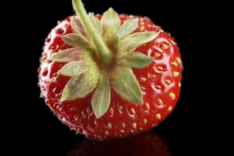 Macro front view of single whole strawberry isolated on black background Stock Photos