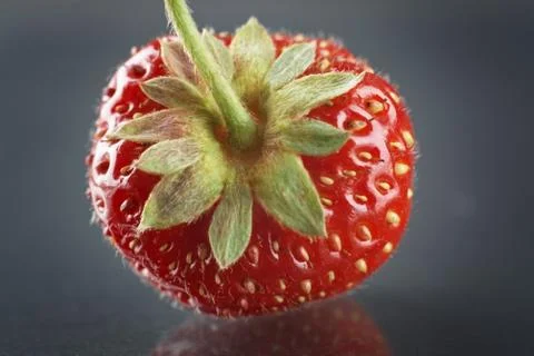 Macro front view of single whole strawberry on dark grey background Stock Photos