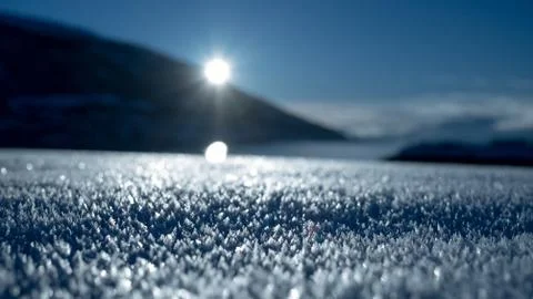Macro of frost with sun setting Stock Photos