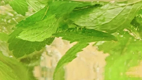 Macro glass with fresh mint leaves brewing herbal tea on a stone tray Stock Footage 318884574
