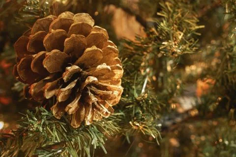 Macro of golden pinecone in artificial Christmas tree, with blurry background Stock Photos