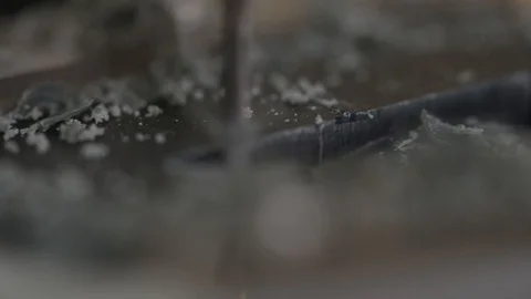 Macro of a goldsmith cutting and filing the steel to make a ring. Concept Stock Footage 120004801