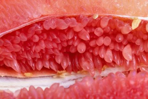 Macro of grapefruit pulp. Citrus fruit texture macro for background Foto stock