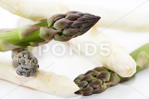 Macro green and white asparagus Stock Photos