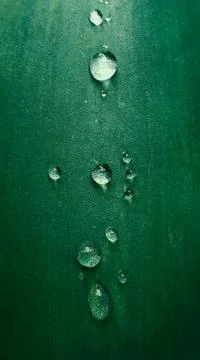 Macro green leaf background Stock Photos