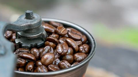 Macro of grinder coffee Stock Photos