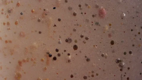 Macro gross bubbling swamp liquid motion texture background Video stock 118292859