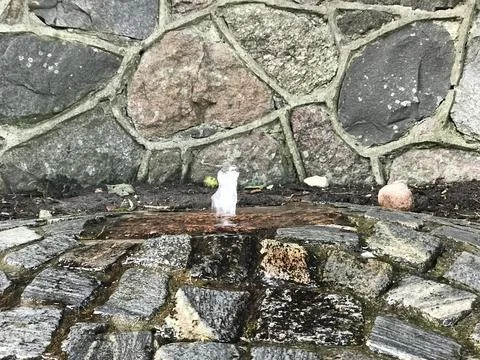 Macro ground view of small water fountain coming from the ground faucet with mos Stock Photos