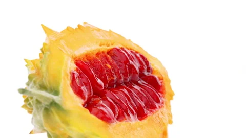 Macro of halved bitter gourd inside. Rotating on white background. Stock-Footage 161025178