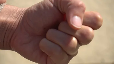 Macro of a Hand Holding a Seed Stock Footage 95647299