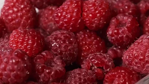 Macro of Hand Picking a Ripe Raspberry From a Container Stock Footage 314076248