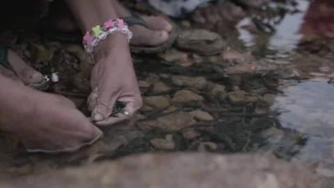 Macro of Hands Cleaning Wild Edible Caterpillars in Stream Water Stock Footage 346762270