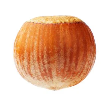 Macro of a hazelnut isolated on white background Stock Photos