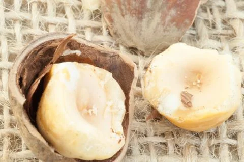 Macro of hazelnuts on jute background in studio Stock Photos