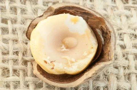 Macro of hazelnuts on jute background in studio Stock Photos