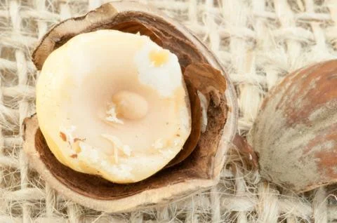 Macro of hazelnuts on jute background in studio Stock Photos