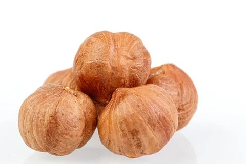 Macro hazelnuts nuts on a white background Stock Photos