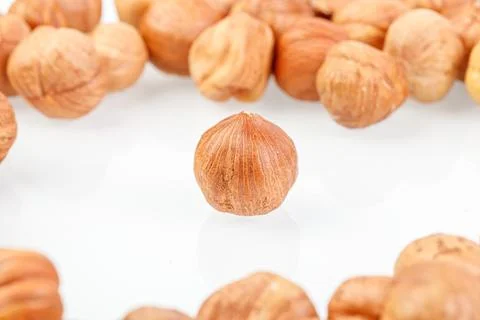 Macro hazelnuts nuts on a white background Stock Photos