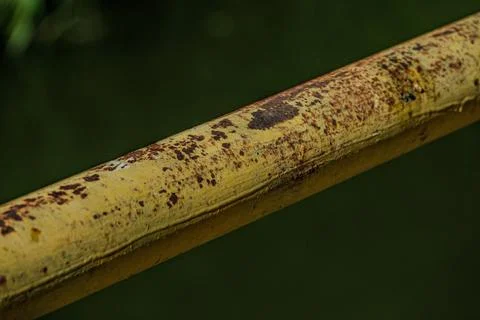 Macro of heavy rust texture on industrial iron pipe steel structure at ni Фото