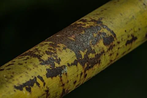 Macro of heavy rust texture on yellow industrial iron pipe at night Stock Photos