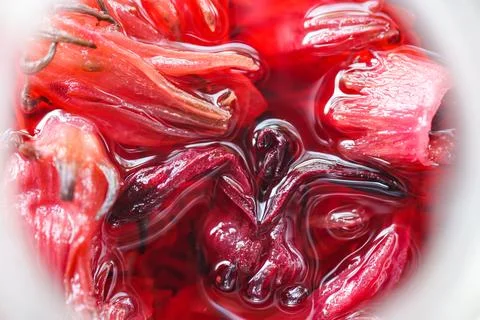 Macro High Key Background of Red Roselle Flower Petals Submerged in Water, .. Stock Photos