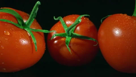 Macro homegrown tomatoes Stock-Footage 229449394