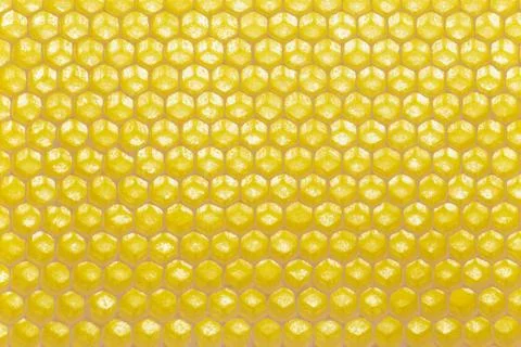 Macro honeycomb background Stock Photos