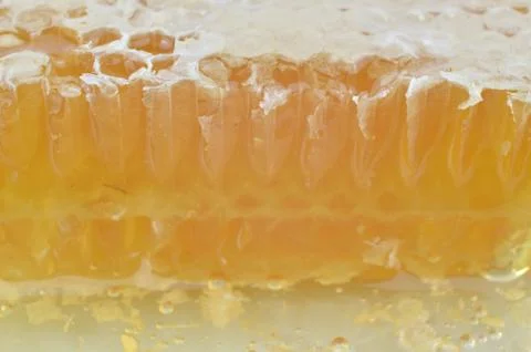 Macro of Honeycomb Cross Section Stock Photos