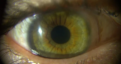 Macro Human Eye Iris 库存影片 86461785