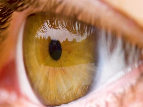 Macro human green eye side view Video stock 76154734