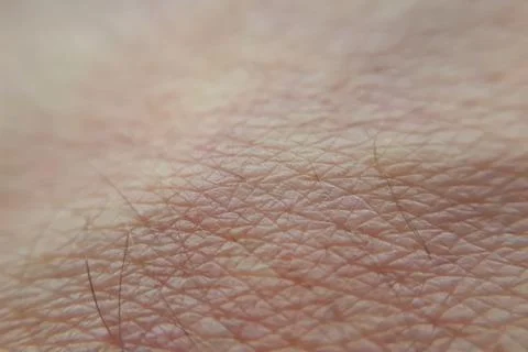 Macro human skin close up background. Texture of the skin. Medical background Stock Photos