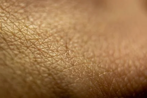 Macro human skin texture. Closeup skin pattern. Medicine healthy surface ba.. Stock Photos