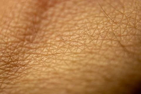 Macro human skin texture. Closeup skin pattern. Medicine healthy surface ba.. 库存照片