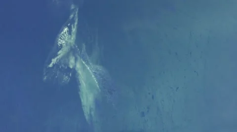 Macro Ice Crack Melting Stockbeeldmateriaal 44643541