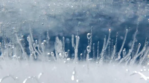 Macro Ice Видео 97721770