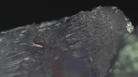 Macro Ice Melting Timelapce Stock Footage 44643467