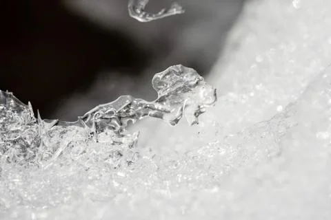 Macro of Ice 写真素材