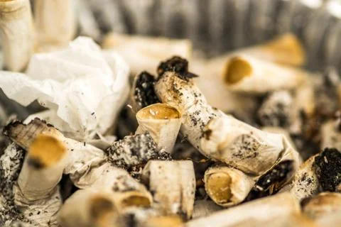 Macro image of Cigarette Butts Stock Photos
