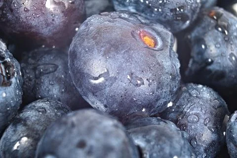 A macro image of fresh blueberries Foto stock