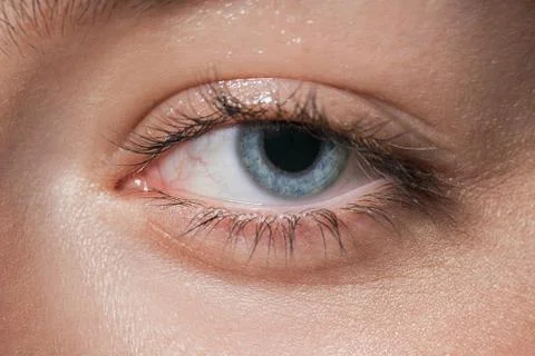 Macro image of human blue eye looking at camera. Tired eyes Stock Photos