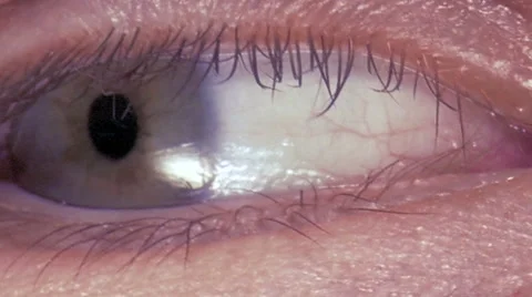 Macro image of human eye 库存影片 54711299